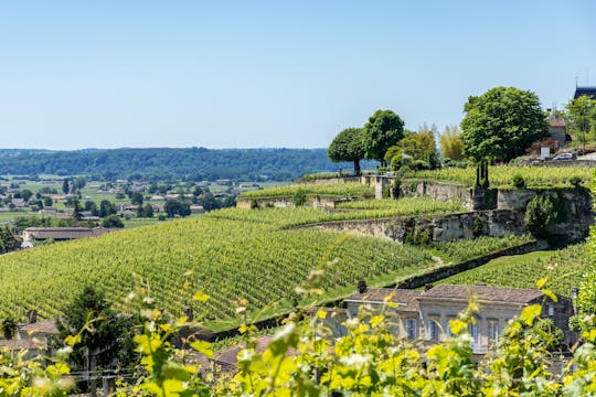 Middag wijntour naar Saint-Emilion