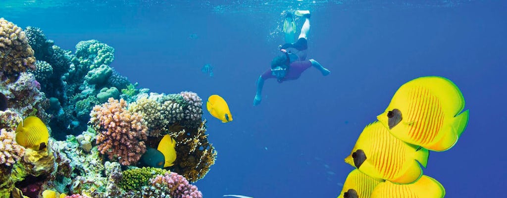 Red Sea Snorkelling Tour with Paradise Island