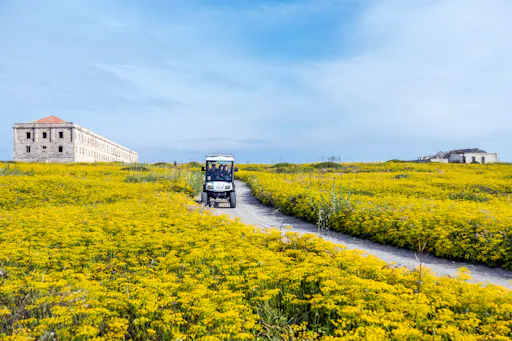 La Mola Fortress Mahon Ticket