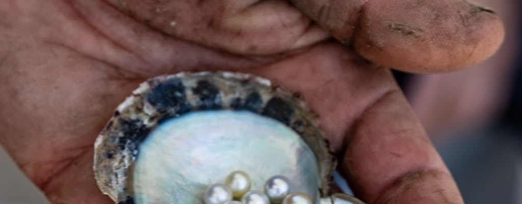 The Ultimate Pearl Farm Experience in Hawkesbury