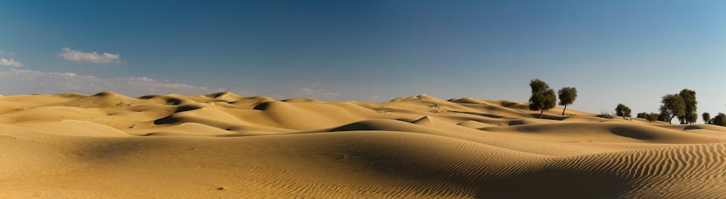 Premium Dubai desert safari with dune bashing, dinner and camel ride