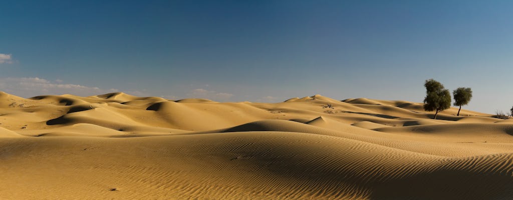 Premium Dubai desert safari with dune bashing, dinner and camel ride