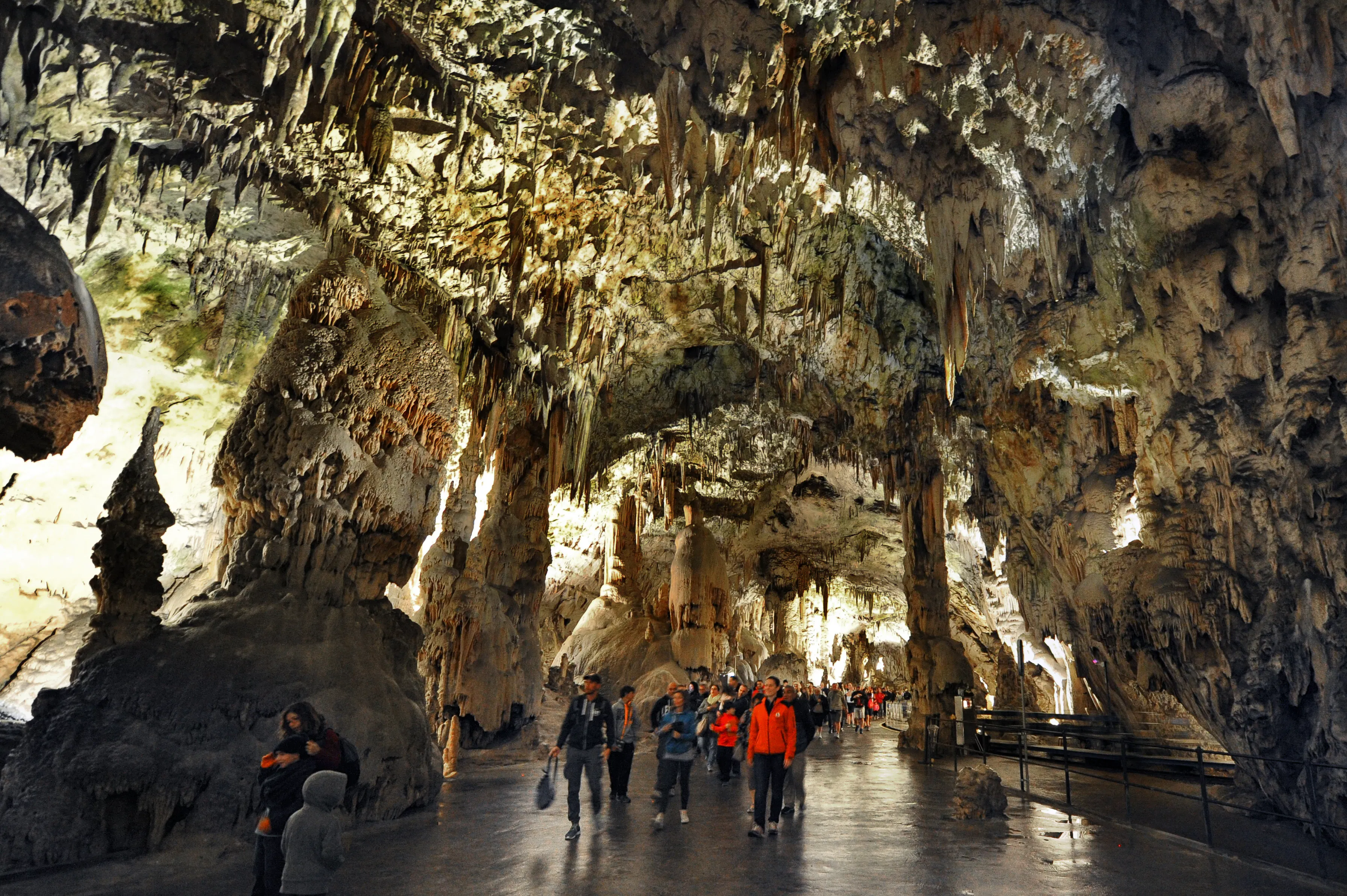 Postojna Cave