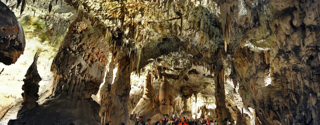 Postojnagrottan biljetter och utflykter