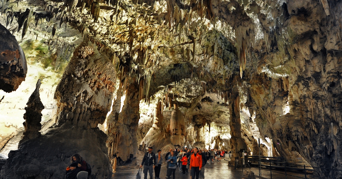 Postojna Cave Tickets and Tours  musement