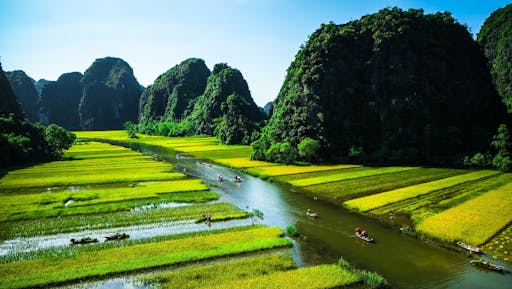 202010085f7e90b65eae3.jpg