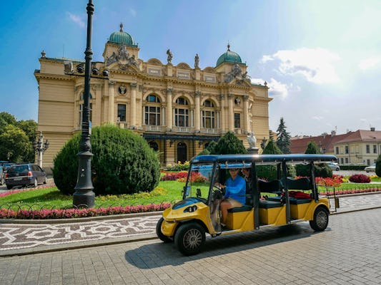 Tour della città di Cracovia in auto elettrica con audioguida Wawel