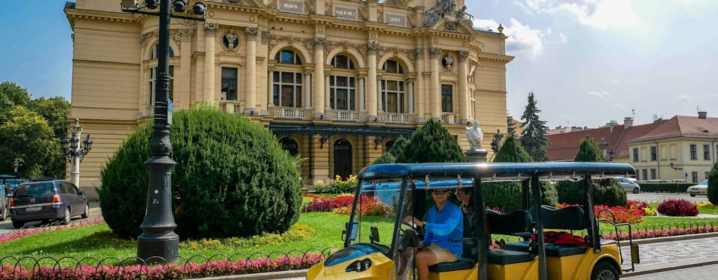 Visite de la ville de Cracovie en voiture électrique avec guide audio Wawel