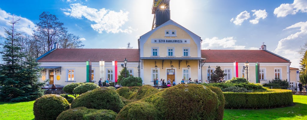 Tour met gids naar de Wieliczka-zoutmijn vanuit Krakau met Wawel-audiogids