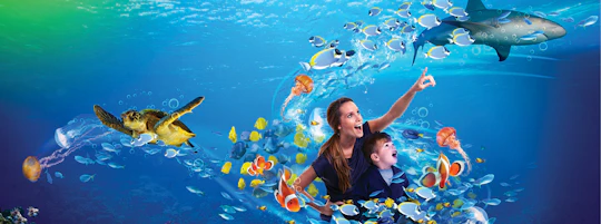SEA LIFE Istanbul entrance ticket