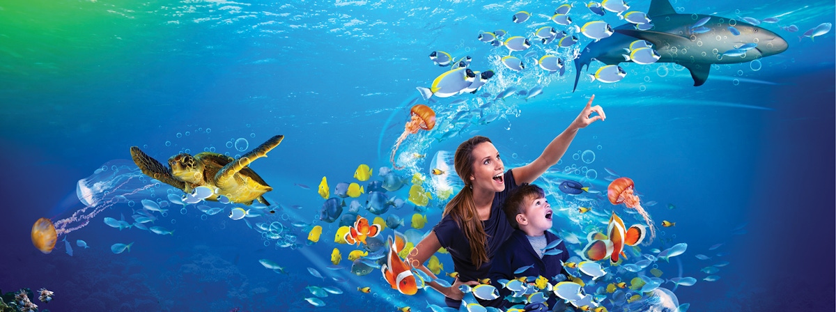 Entrance ticket to Sea Life Istanbul | musement