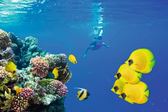 Snorkeling nad Morzem Czerwonym i Paradise Island