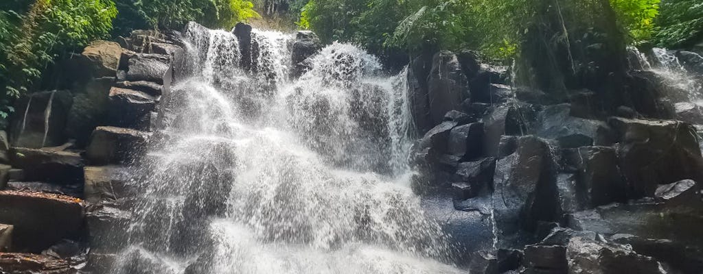 El mejor secreto de Bali de día completo