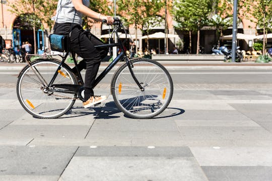 Essential Copenhagen private cycling tour