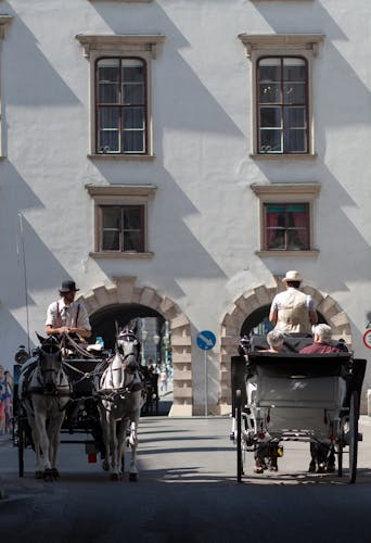 Empress Sisi and Imperial Apartments tour in Vienna