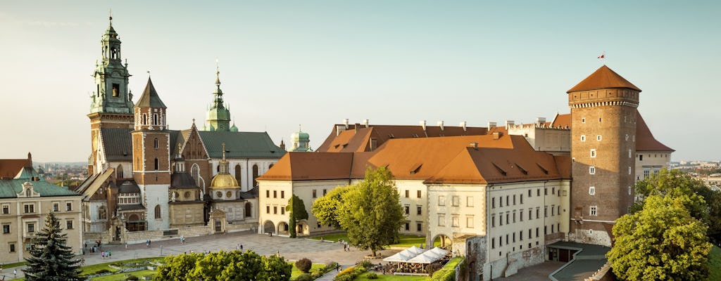 Visite guidée privée du château de Wawel