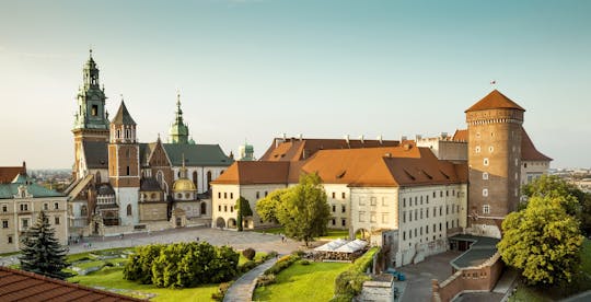 Visita guiada privada al castillo de Wawel
