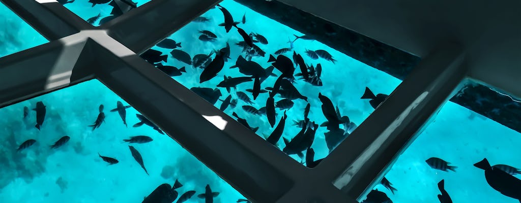 Excursion en bateau à fond de verre avec observation des coraux à Aqaba avec buffet ouvert