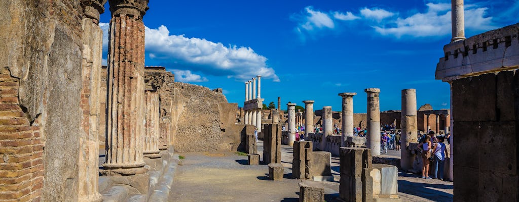 Herculaneum ruins 2-hour guided visit