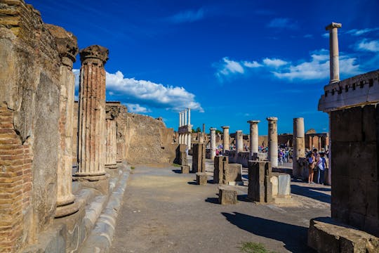 Herculaneum ruins 2-hour guided visit