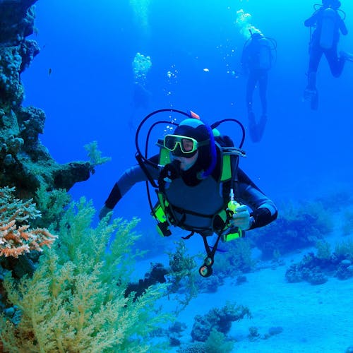 Scuba diving in Aqaba for certified divers
