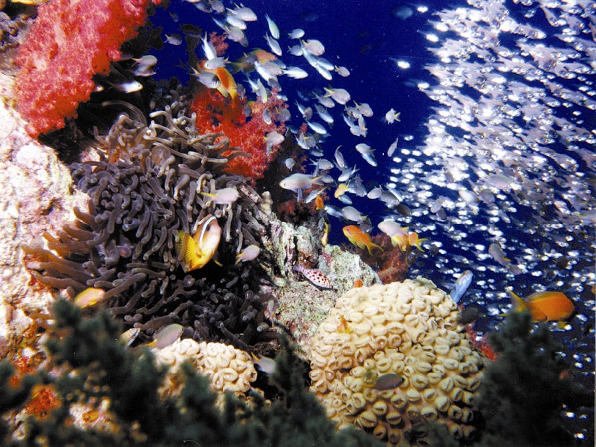 202010135f857915dc212.jpg