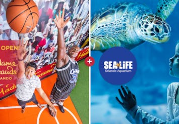 Ingresso combinado para o SEA LIFE Orlando Aquarium e Madame Tussauds
