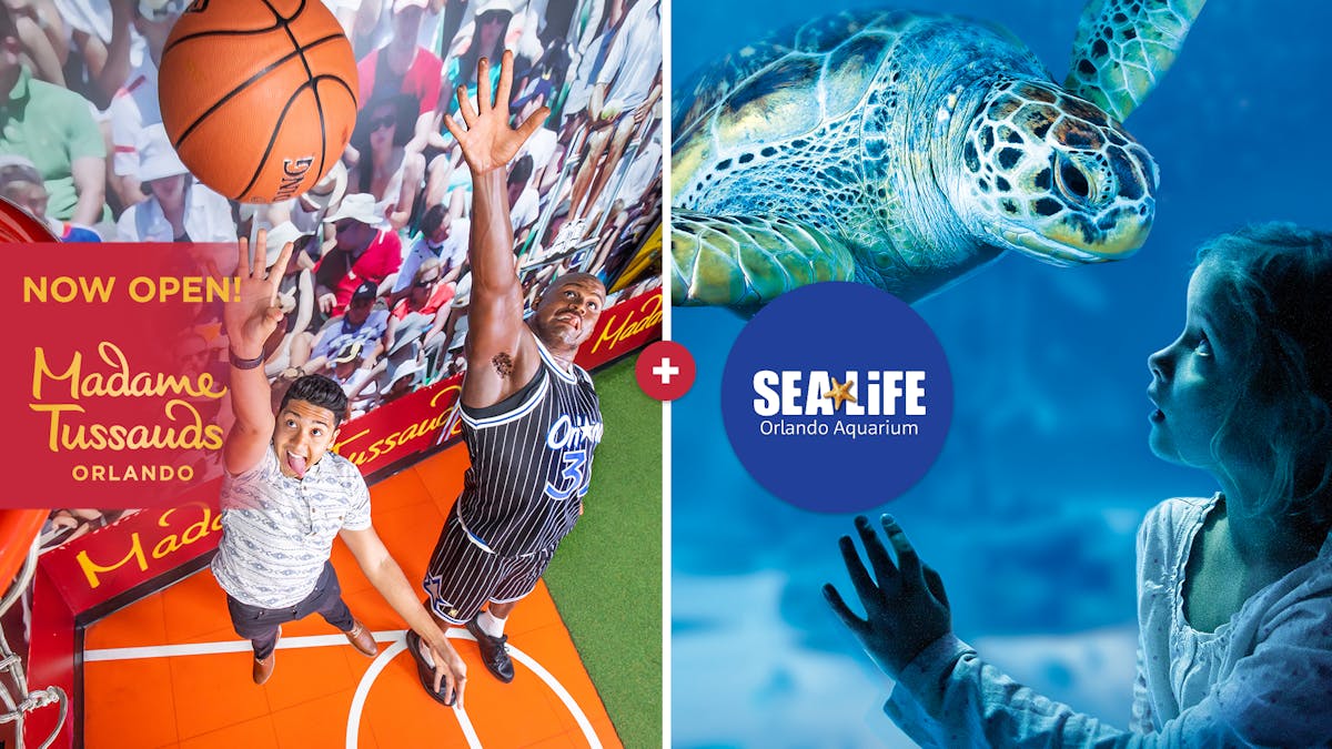 Combiticket SEA LIFE Orlando Aquarium en Madame Tussauds