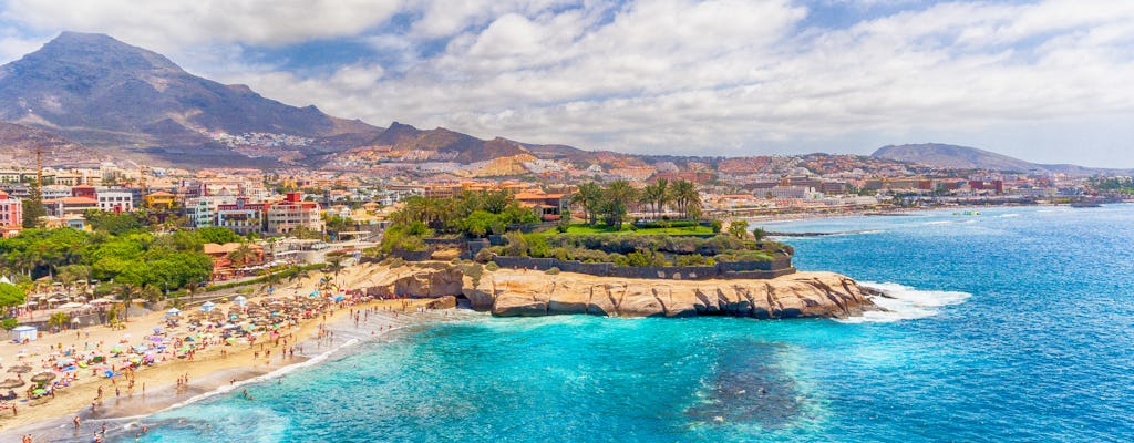 Catamaran tour in Tenerife with dolphins and whale watching