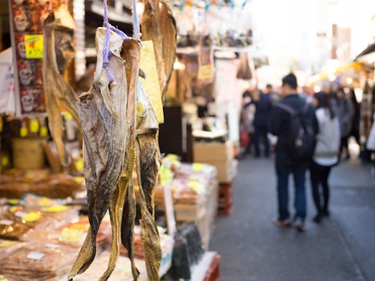 Tsukiji Fish Market walking food tour