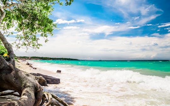 Tour guiado a playa Islabela con almuerzo y un cóctel