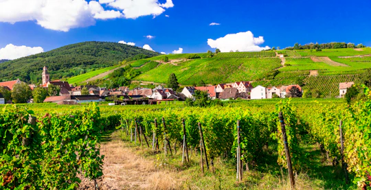 Alsace villages half day trip from Strasbourg