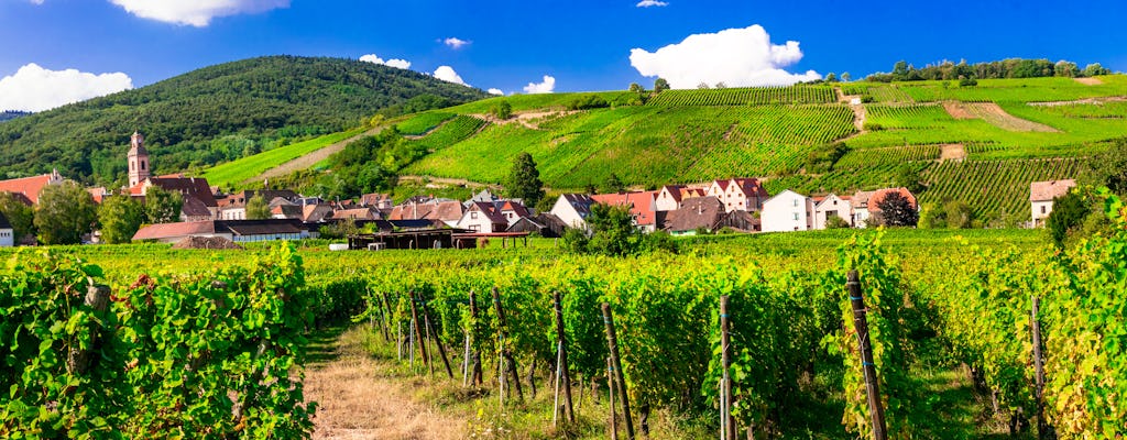 Alsace villages half day trip from Strasbourg