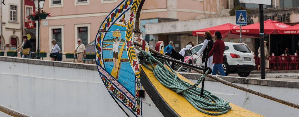 Excursion en bateau de 45 minutes à Aveiro