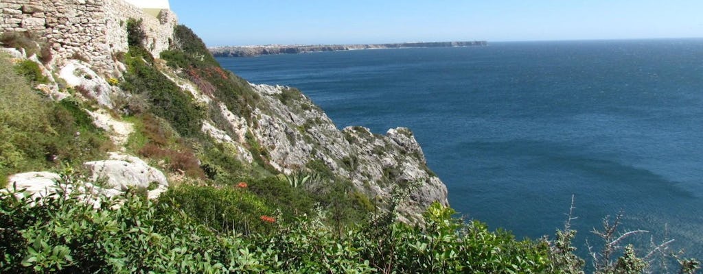 Tour de observación de aves de día completo en Sagres