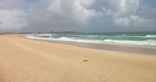 Abicada lagoon and Alvor dunes birdwatching tour