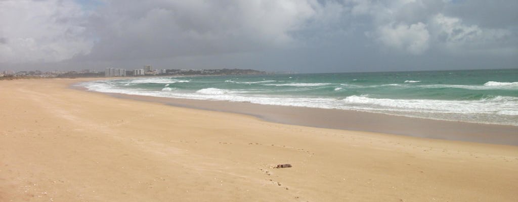 Roteiro de observação de aves na lagoa da Abicada e nas dunas de Alvor