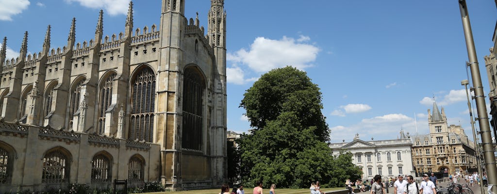 Виртуальные прогулки и плавание тур Кембридж