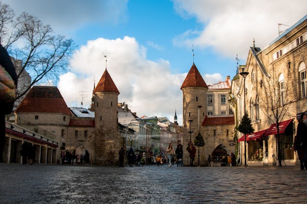 Excursão a pé histórica de Tallinn com um local