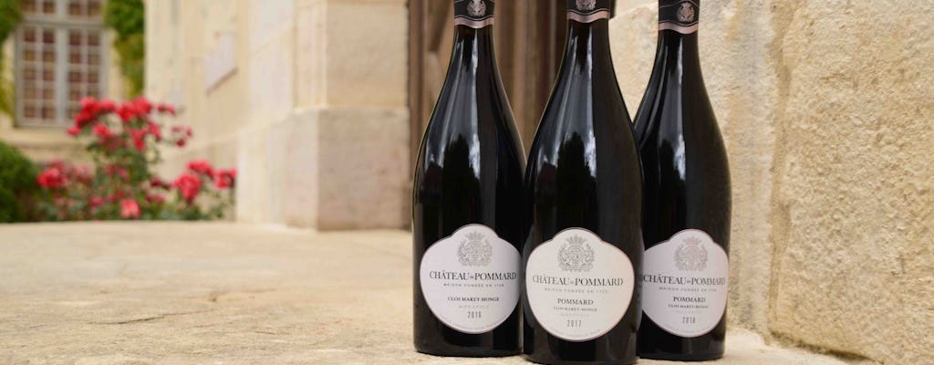 Clos Marey-Monge Experiência, degustação de vinhos e workshop no Château de Pommard