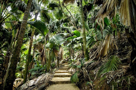 Vallée de Mai and Anse Lazio tour by bus