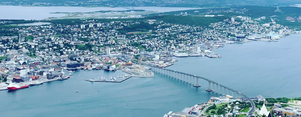 Passeio privado pela cidade de Tromsø em Tesla