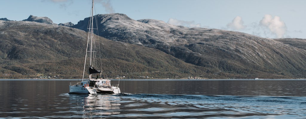 Safari estivo in barca a vela privata nel fiordo artico