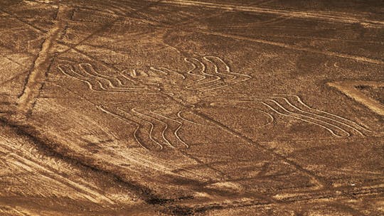 Tour de um dia inteiro nas Linhas de Nazca saindo de Lima