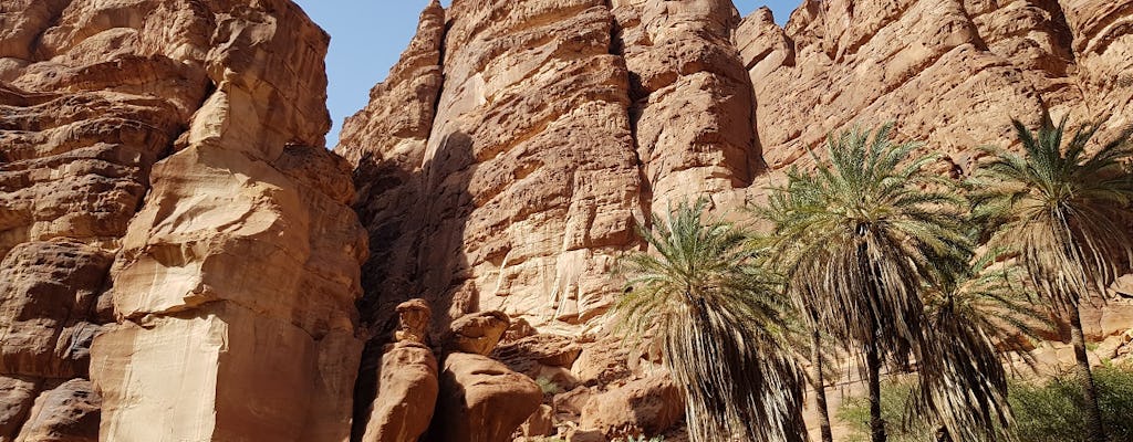 Excursion d'une journée dans la vallée de Wadi al-Disah