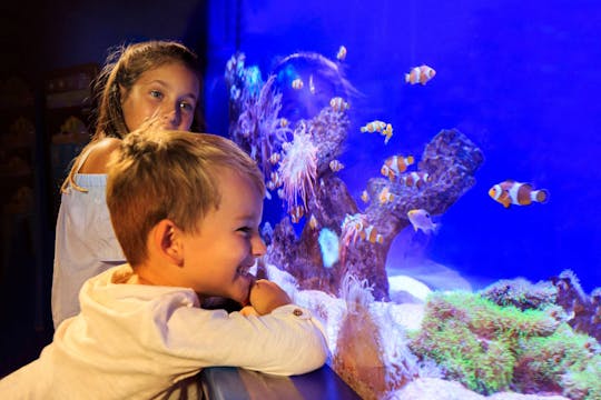 Biglietti salta fila per l'Acquario di Palma
