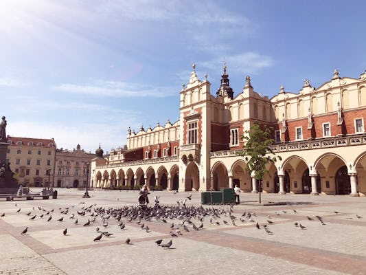 The Royal Route: private walking tour of Krakow