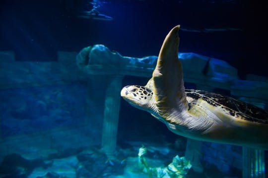 SEA LIFE Porto tickets