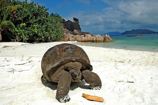Excursão de um dia nas Seychelles 3 ilhas de Cousin, Curieuse e St. Pierre