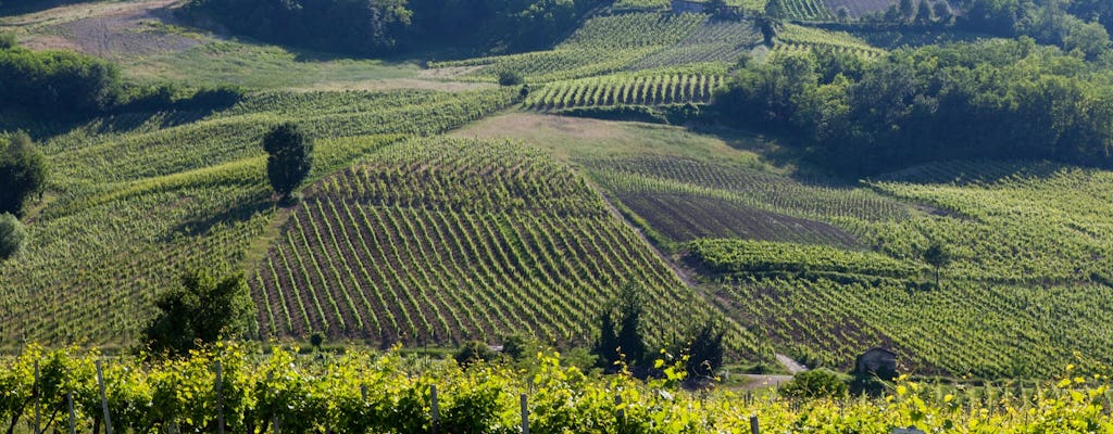 Campagna di Milano e tour di degustazione di vini